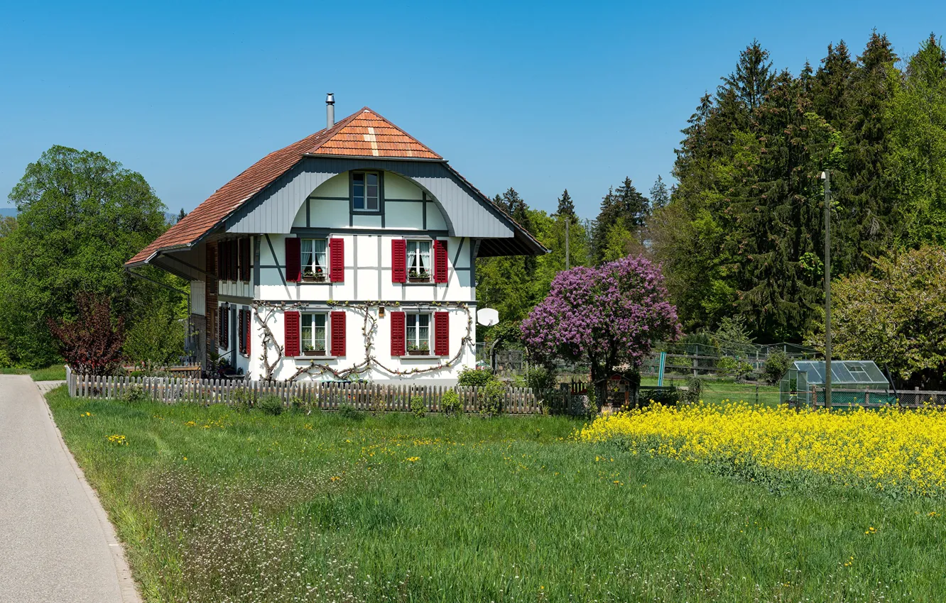Photo wallpaper photo, Design, Grass, The fence, Switzerland, House, Mansion, Steinhof