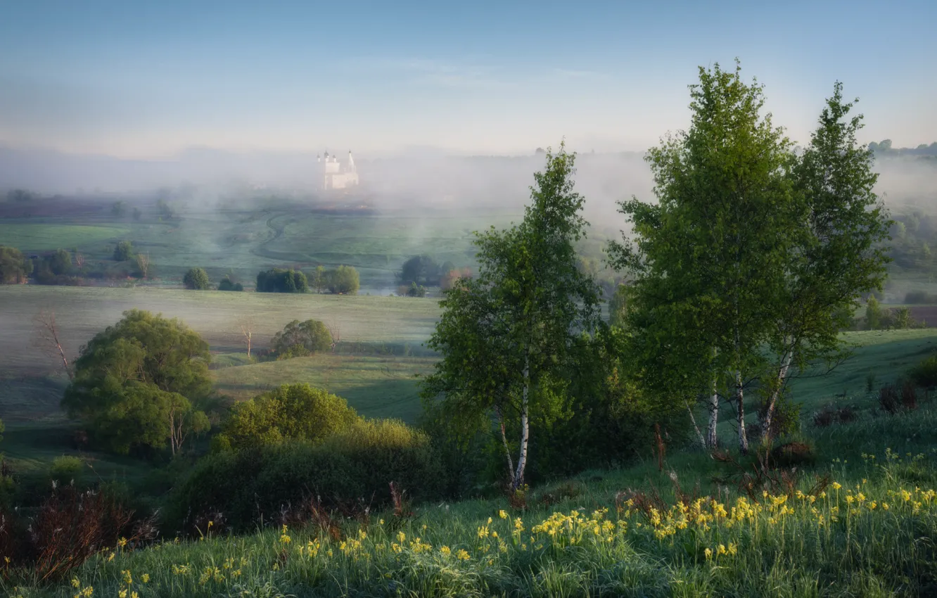 Photo wallpaper field, the sky, trees, flowers, fog, view, dal, morning