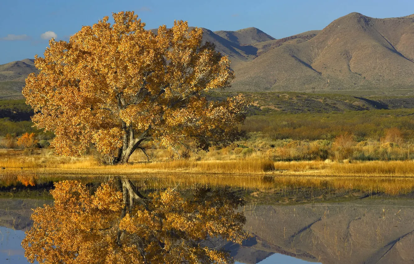 Photo wallpaper autumn, water, lake, reflection, tree, Mountains, pond