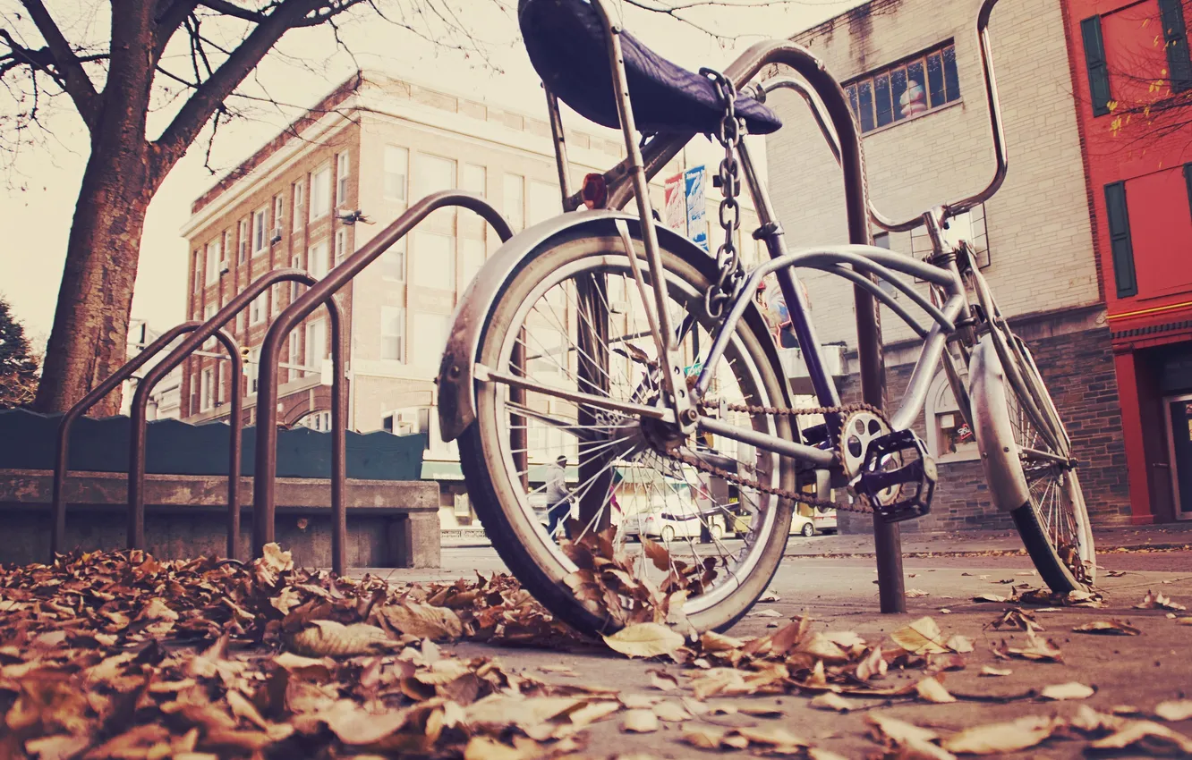 Photo wallpaper autumn, bike, the city, street, foliage, chain, Parking