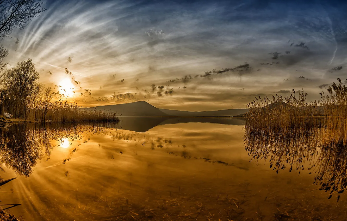 Photo wallpaper landscape, sunset, lake, reed