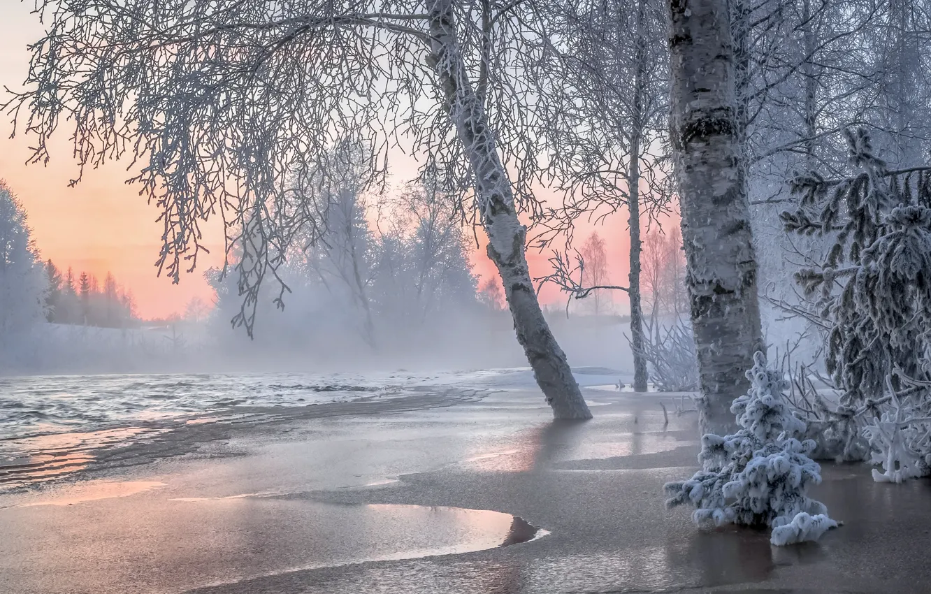 Photo wallpaper Winter, Trees, Snow, Winter, Frosty, Finland, Finland, The lake district