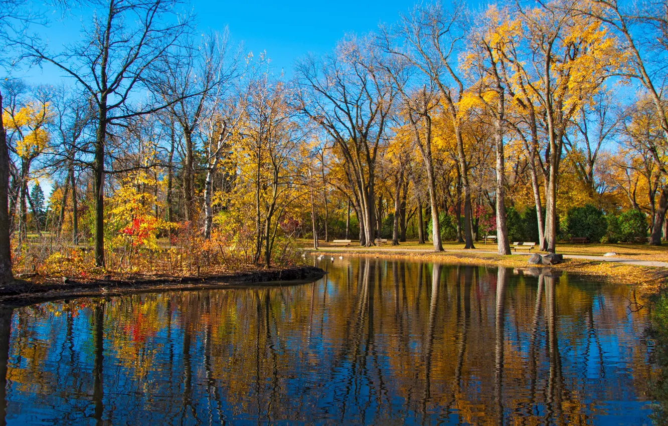 Photo wallpaper autumn, trees, pond, Park, reflection