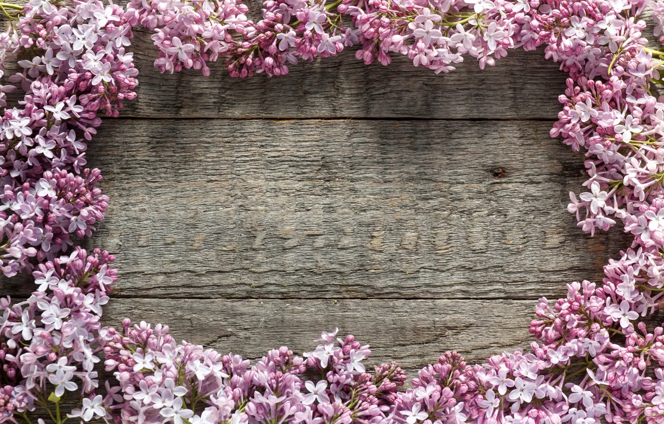 Photo wallpaper trees, flowers, background, spring, lilac