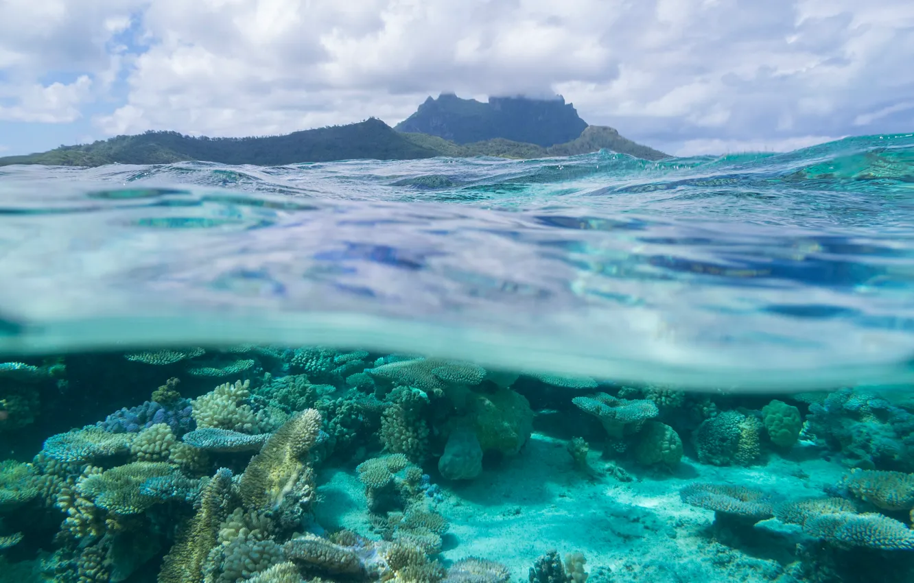 Photo wallpaper sea, corals, Bora Bora, The Pacific ocean, French Polynesia, Leeward Islands