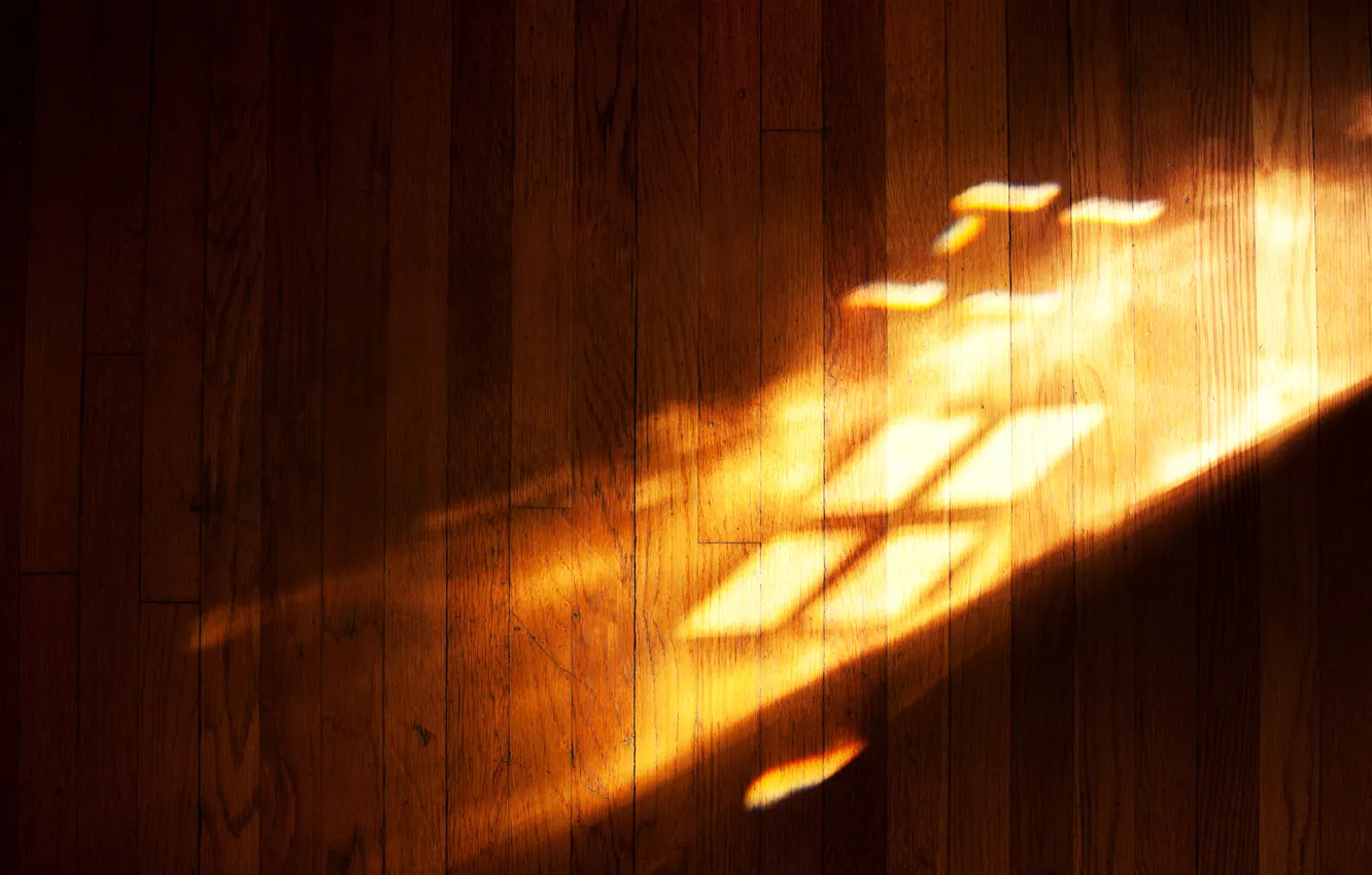 Photo wallpaper light, logo, floor, windows, the play of light, laminate