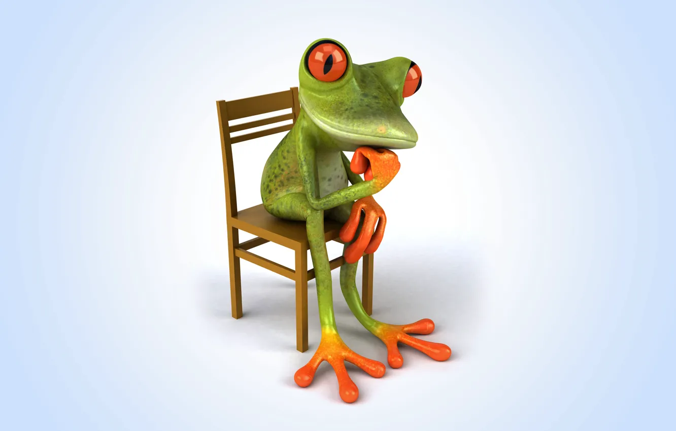 Photo wallpaper frog, frog, funny