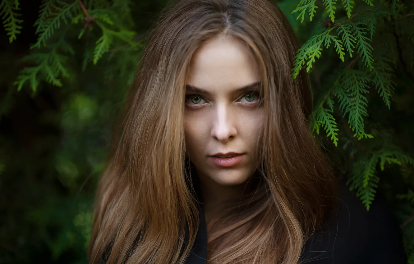 Photo wallpaper look, girl, face, sweetheart, portrait, brown hair, beautiful, the beauty