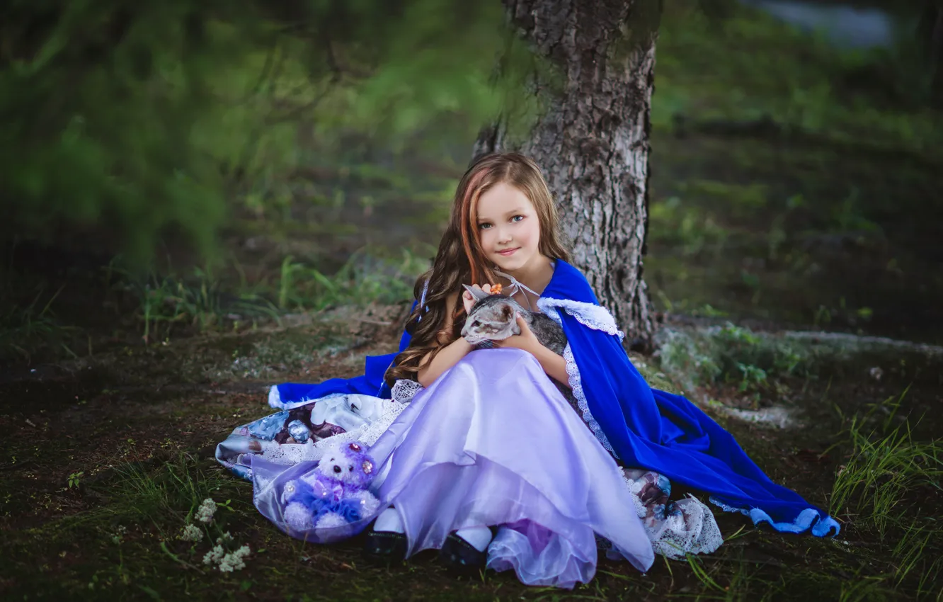 Photo wallpaper cat, cat, look, pose, dress, girl, Diana Lipkina