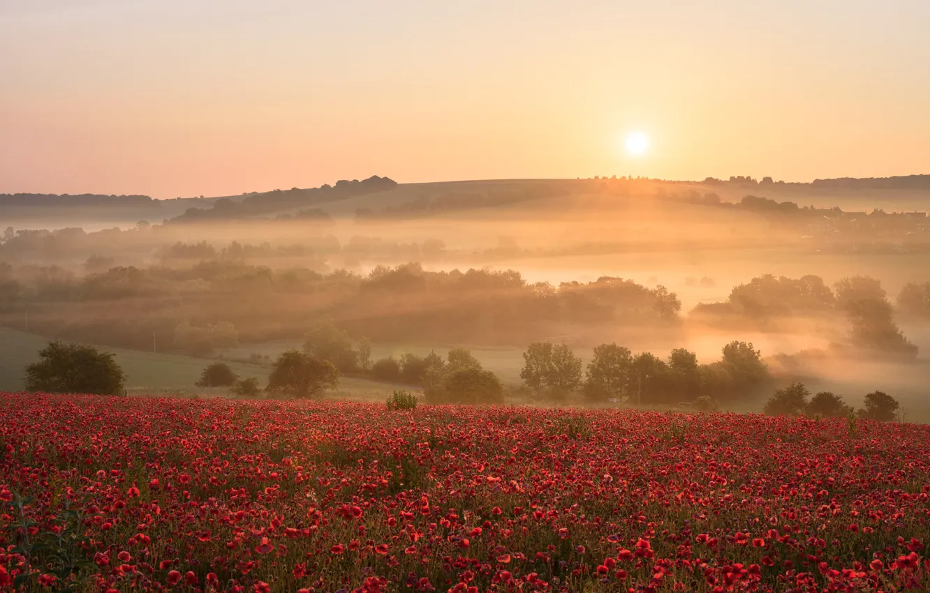 Photo wallpaper field, fog, Maki