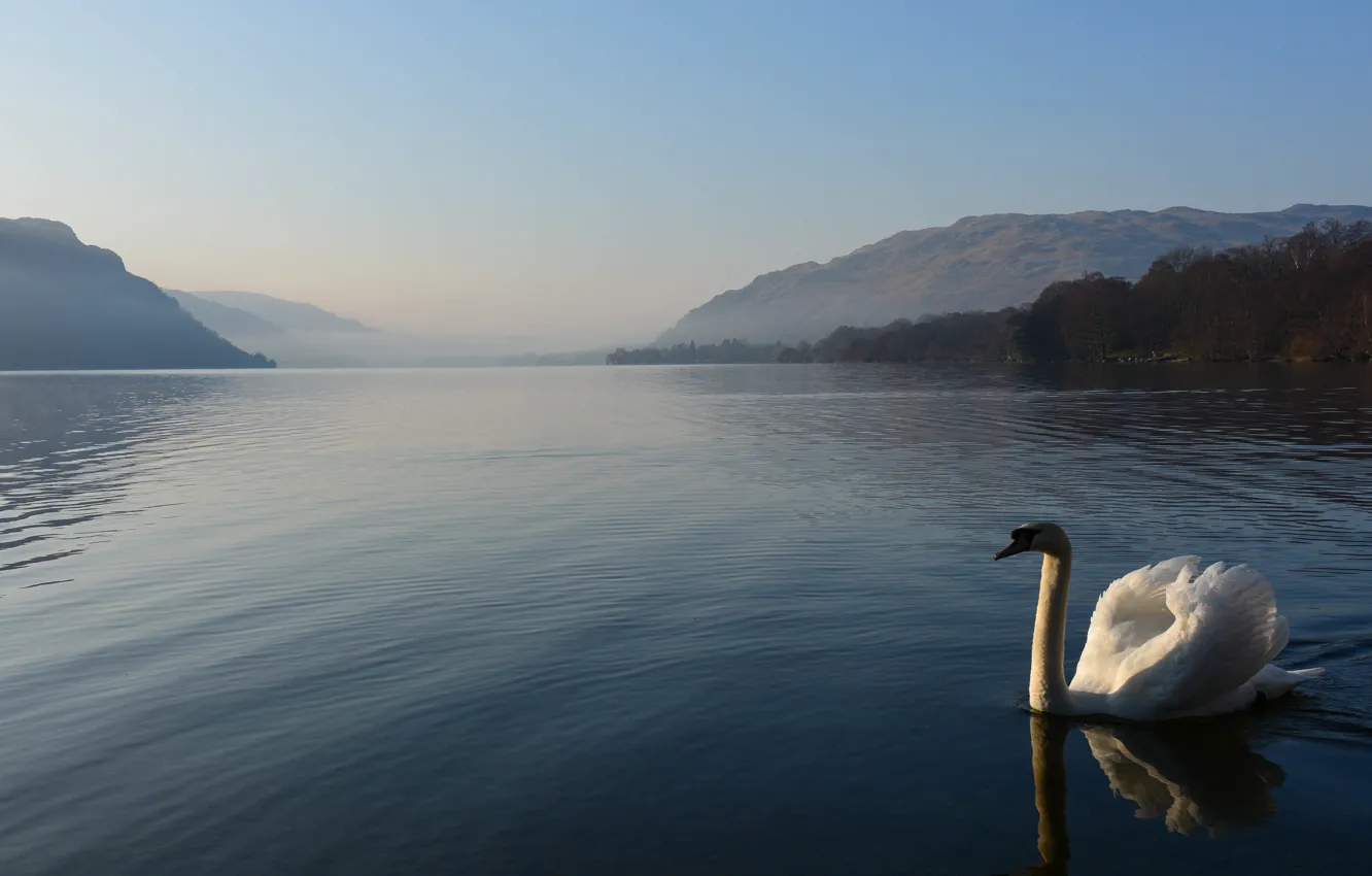 Photo wallpaper white, water, light, mountains, nature, fog, hills, bird