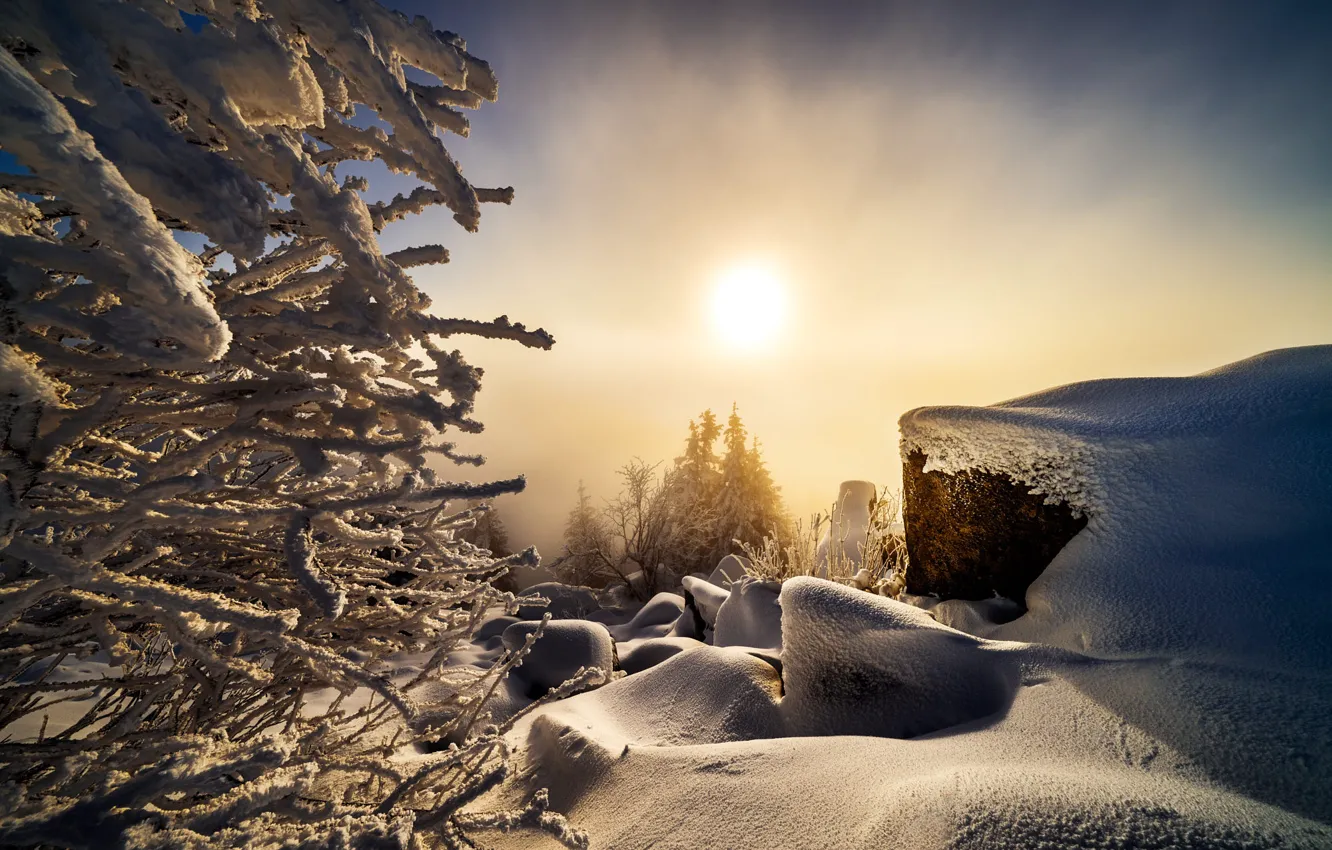 Photo wallpaper winter, the sun, snow, trees, landscape, nature, stones, morning