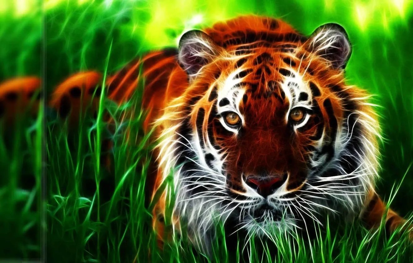Photo wallpaper wallpaper, tiger, animal