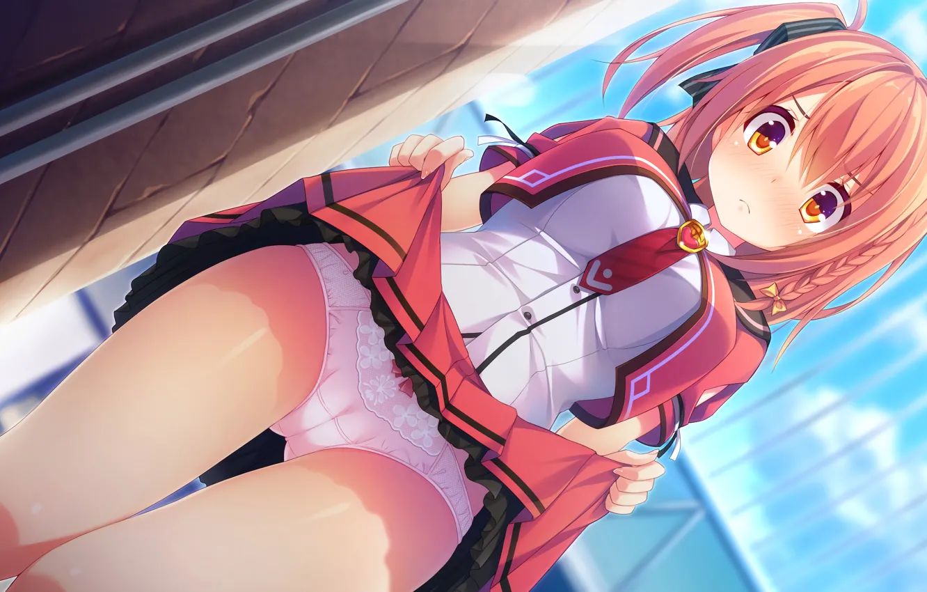 Photo wallpaper girl, sexy, lingerie, Cameltoe, panties, long hair, dress, anime