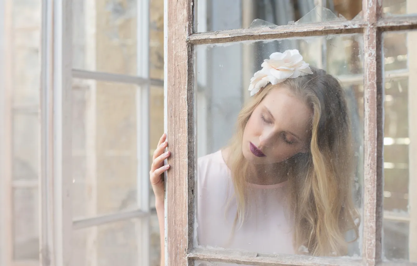Photo wallpaper girl, mood, window