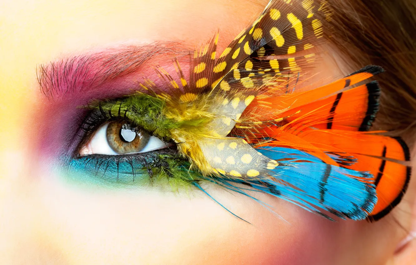 Photo wallpaper look, macro, face, eyes, style, feathers