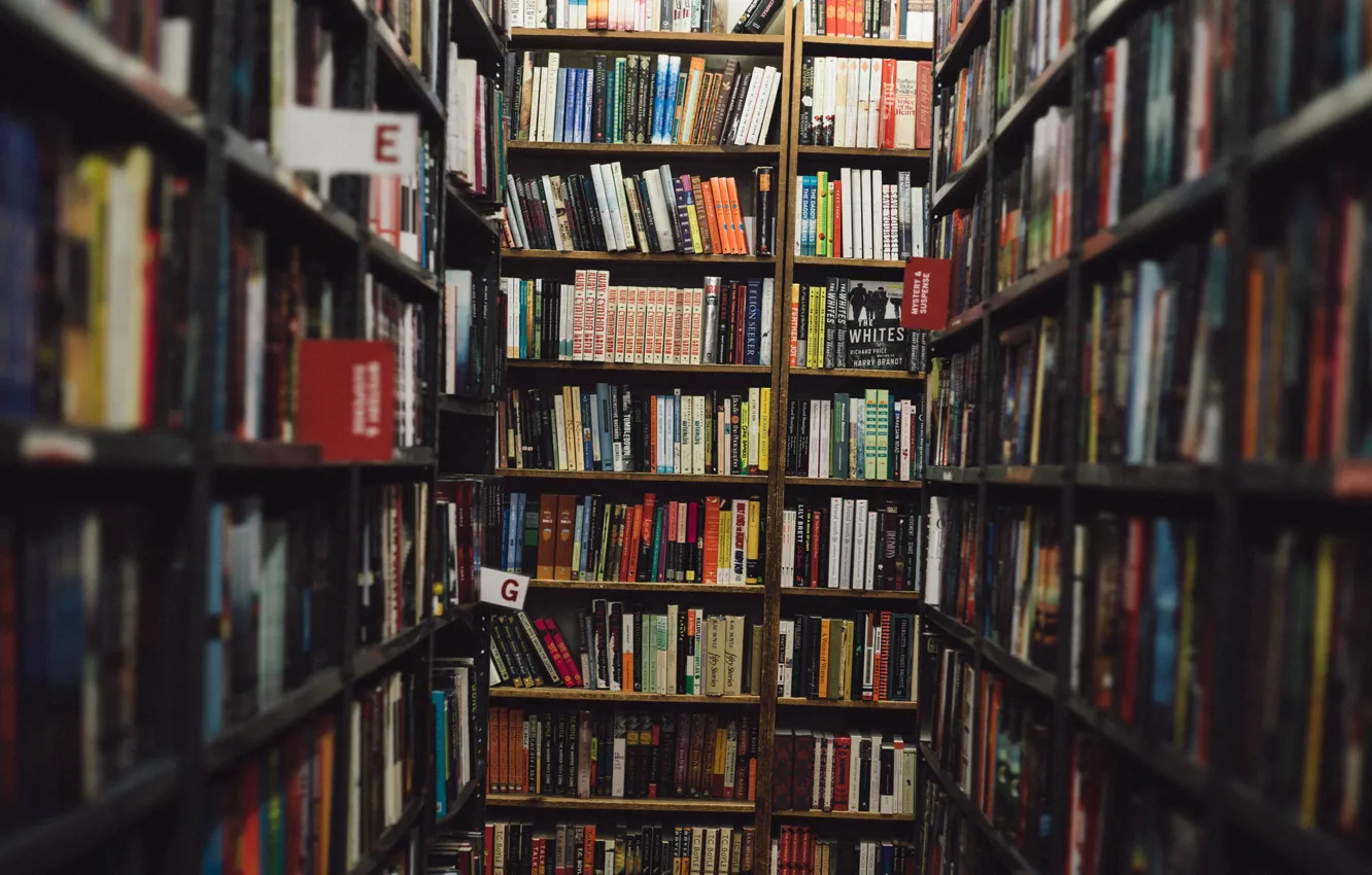 Photo wallpaper reading, books, library