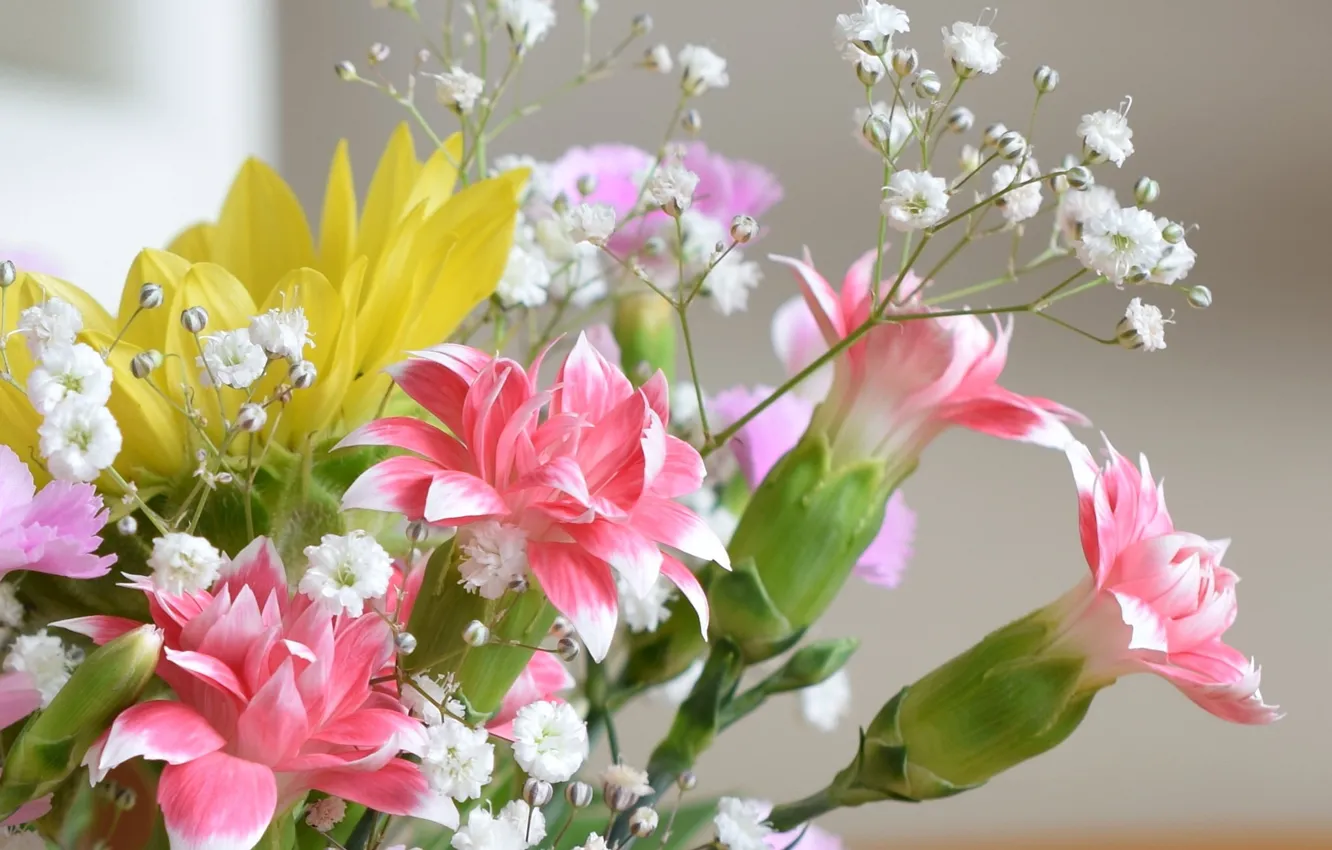 Photo wallpaper background, bouquet, clove