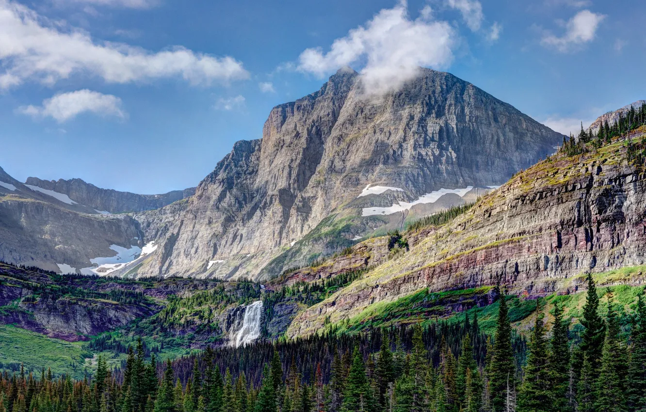 Photo wallpaper forest, mountains, spruce forest