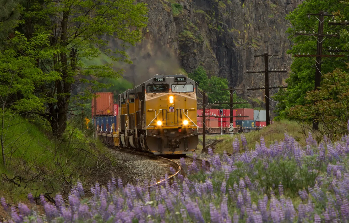 Photo wallpaper nature, rails, train, railroad, locomotive