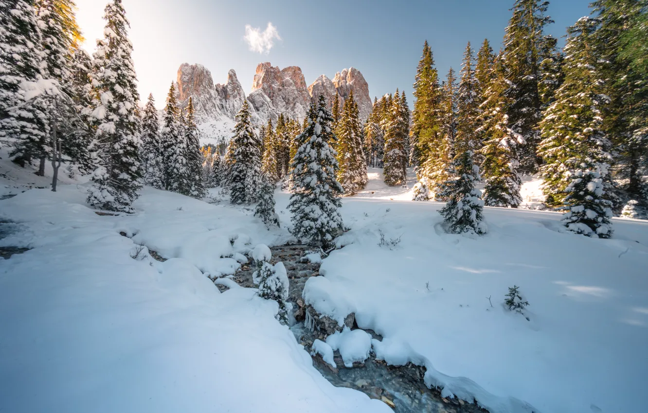 Photo wallpaper winter, snow, trees, mountains, The Dolomites, South Tyrol, South Tyrol, northern Italy