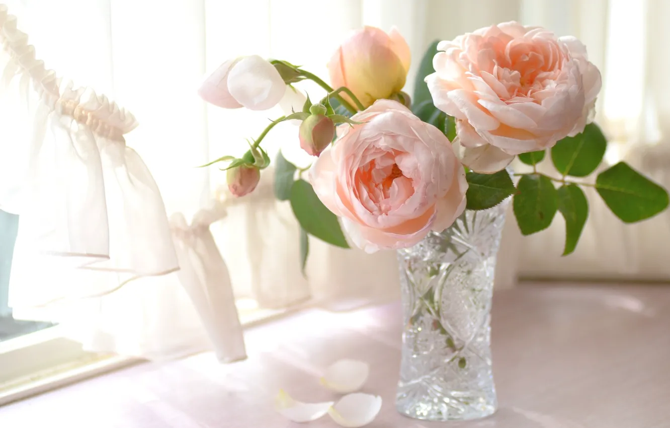 Photo wallpaper light, tenderness, roses, petals, window, vase