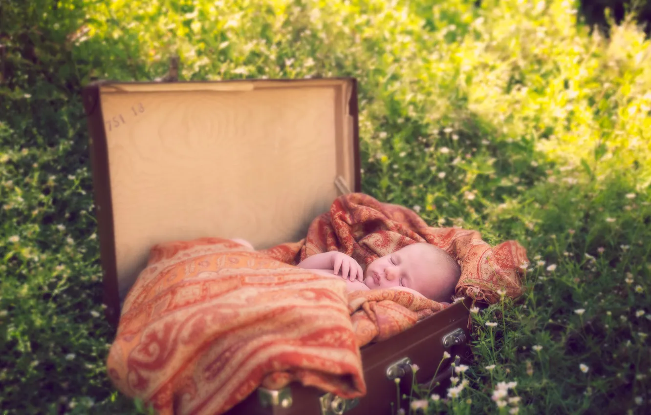 Photo wallpaper background, suitcase, baby
