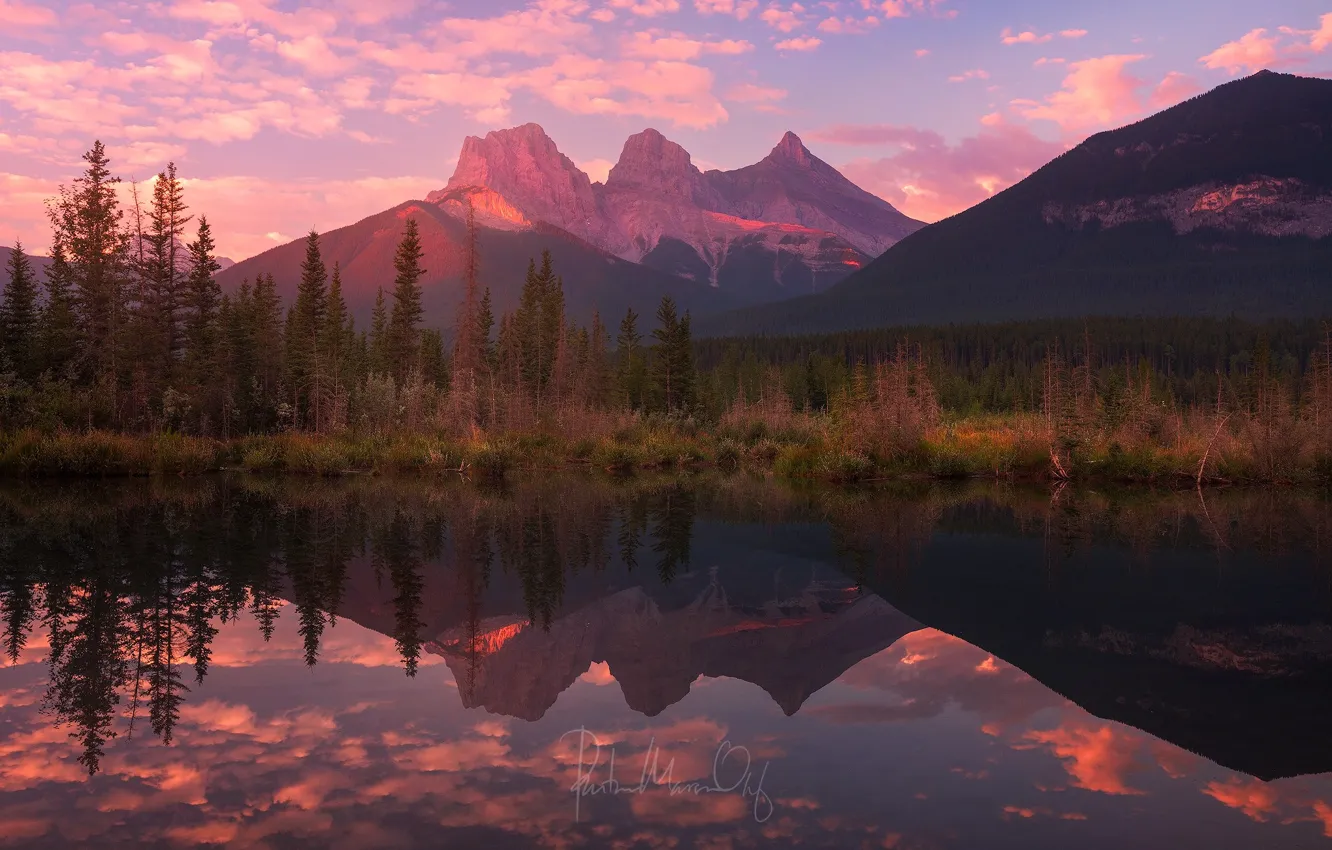 Photo wallpaper forest, mountains, lake, morning