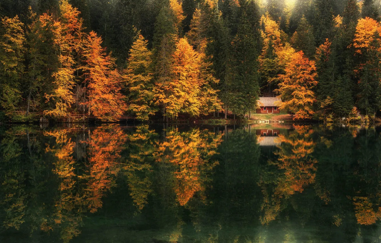 Photo wallpaper autumn, forest, landscape, nature, lake, house, reflection, cottage
