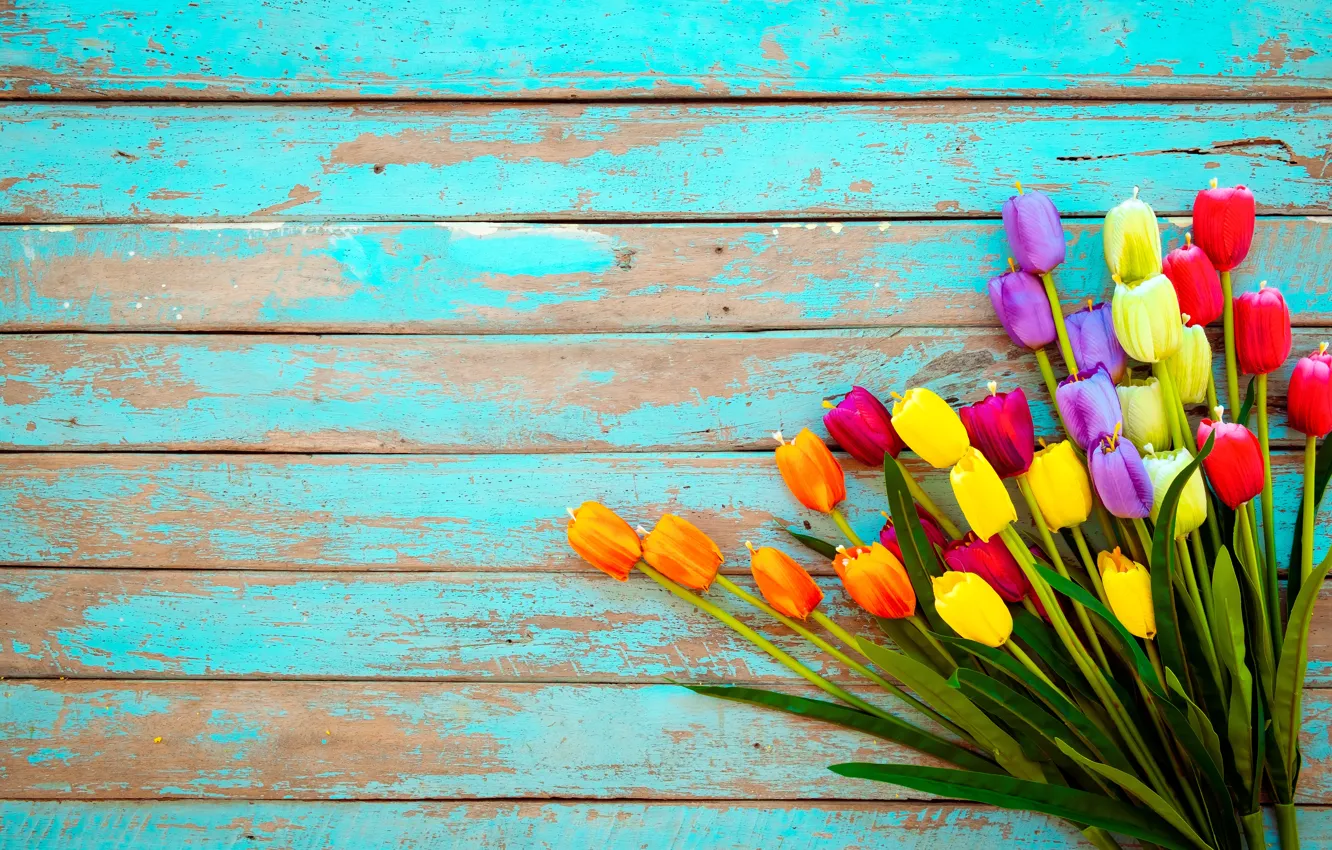 Photo wallpaper flowers, Board, colorful, tulips, wood, flowers, tulips, grunge