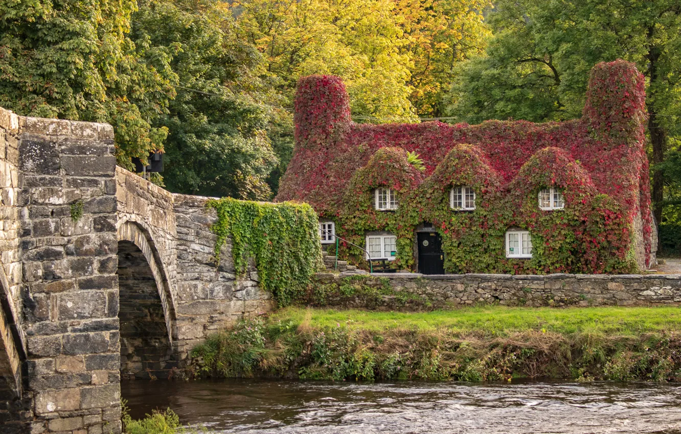 Photo wallpaper autumn, trees, bridge, house, river, the building, England, England