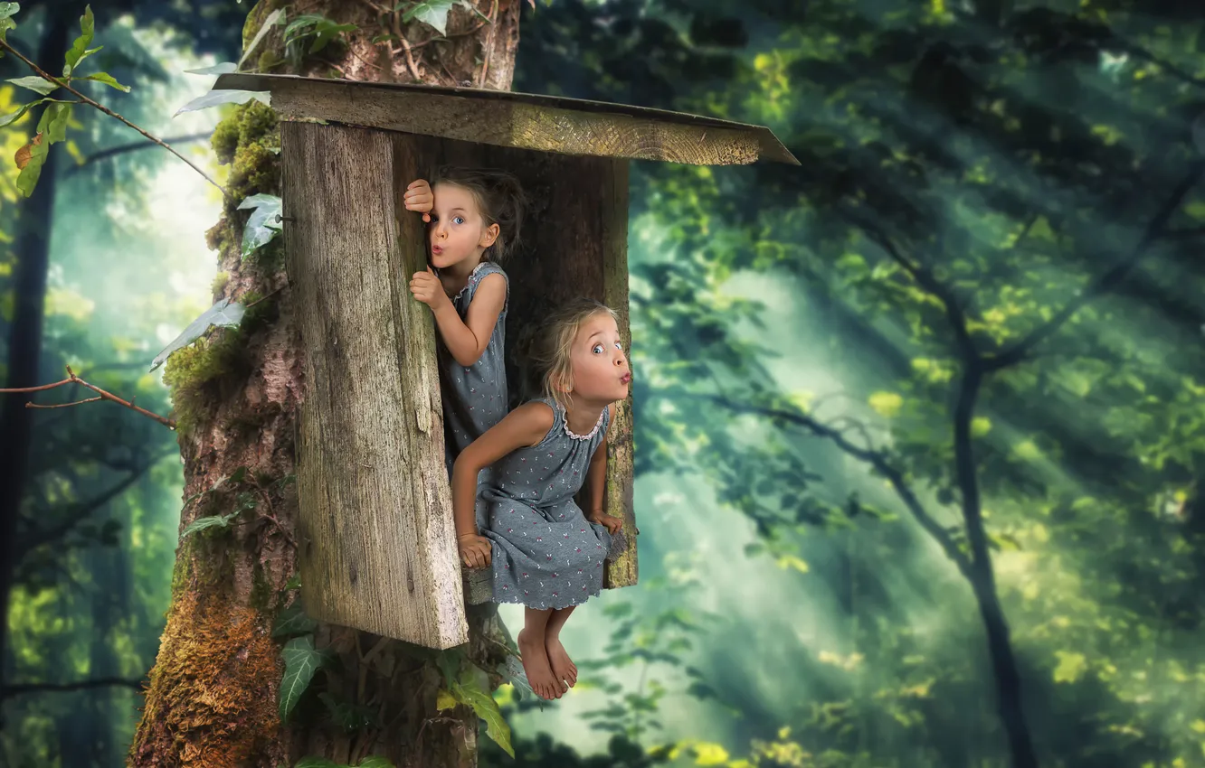 Photo wallpaper children, humor, girl, birdhouse, Just two little birds