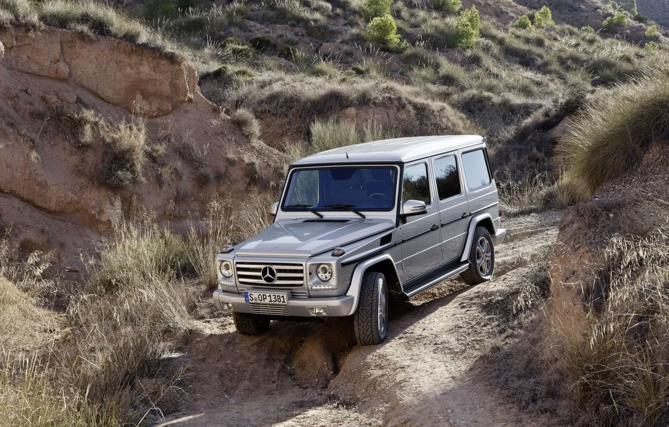 Photo wallpaper grass, Mercedes-Benz, jeep, SUV, Mercedes, the front, g, Gelandewagen
