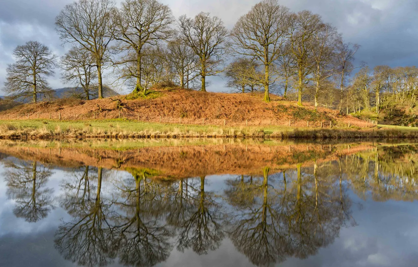 Photo wallpaper the sky, clouds, trees, lake, reflection, hills