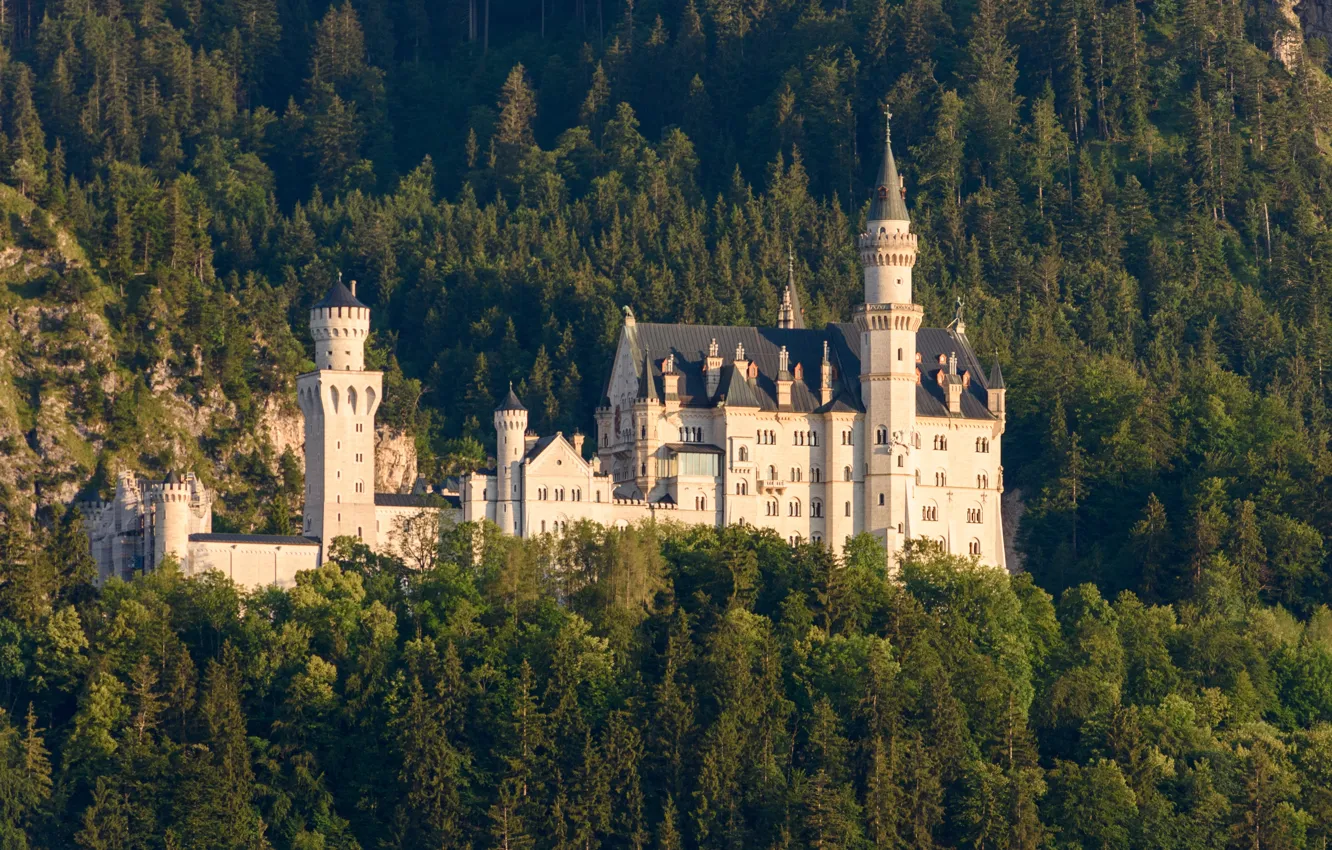 Photo wallpaper forest, trees, castle, Germany, Bayern, Germany, Bavaria, Neuschwanstein Castle