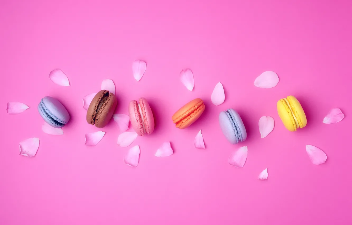 Photo wallpaper petals, cookies, macarons, almond