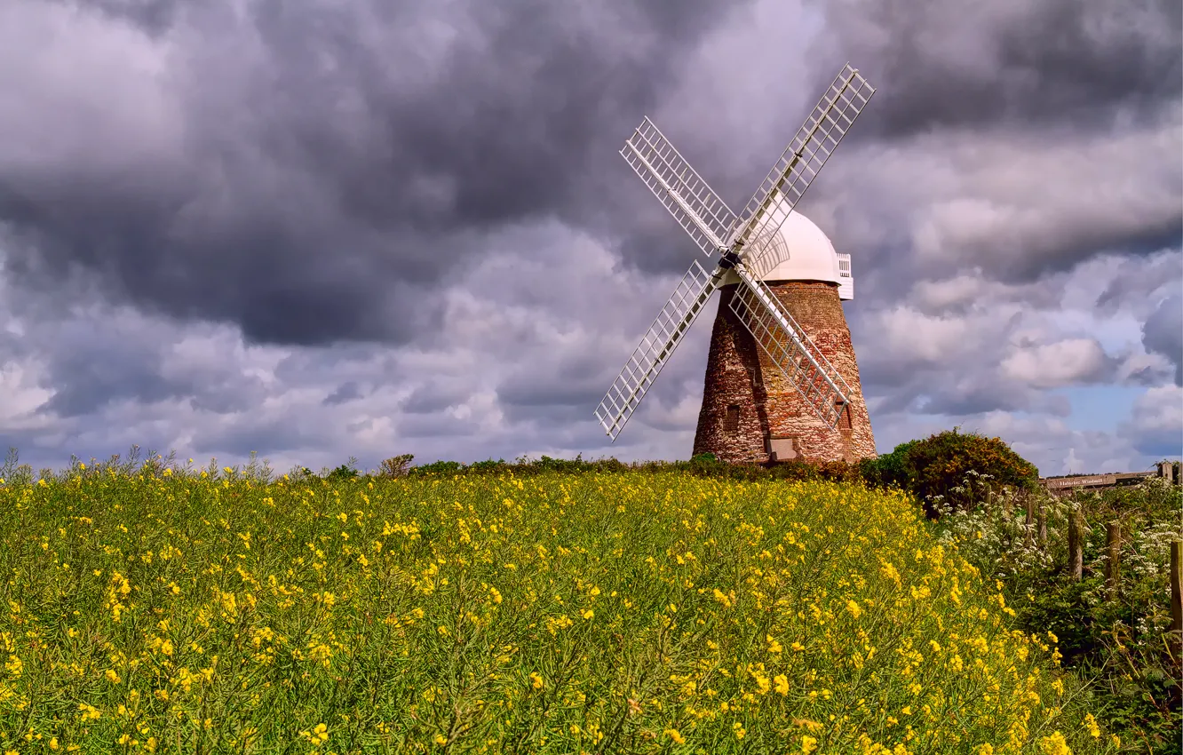 Photo wallpaper field, the sky, clouds, flowers, clouds, nature, rape, windmill