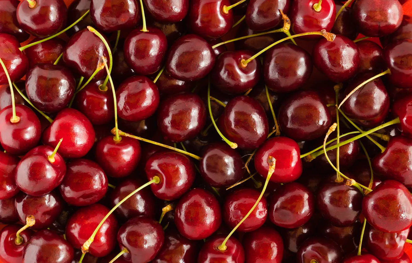 Photo wallpaper sprig, fruit, cherry, fruit, cherry, branches