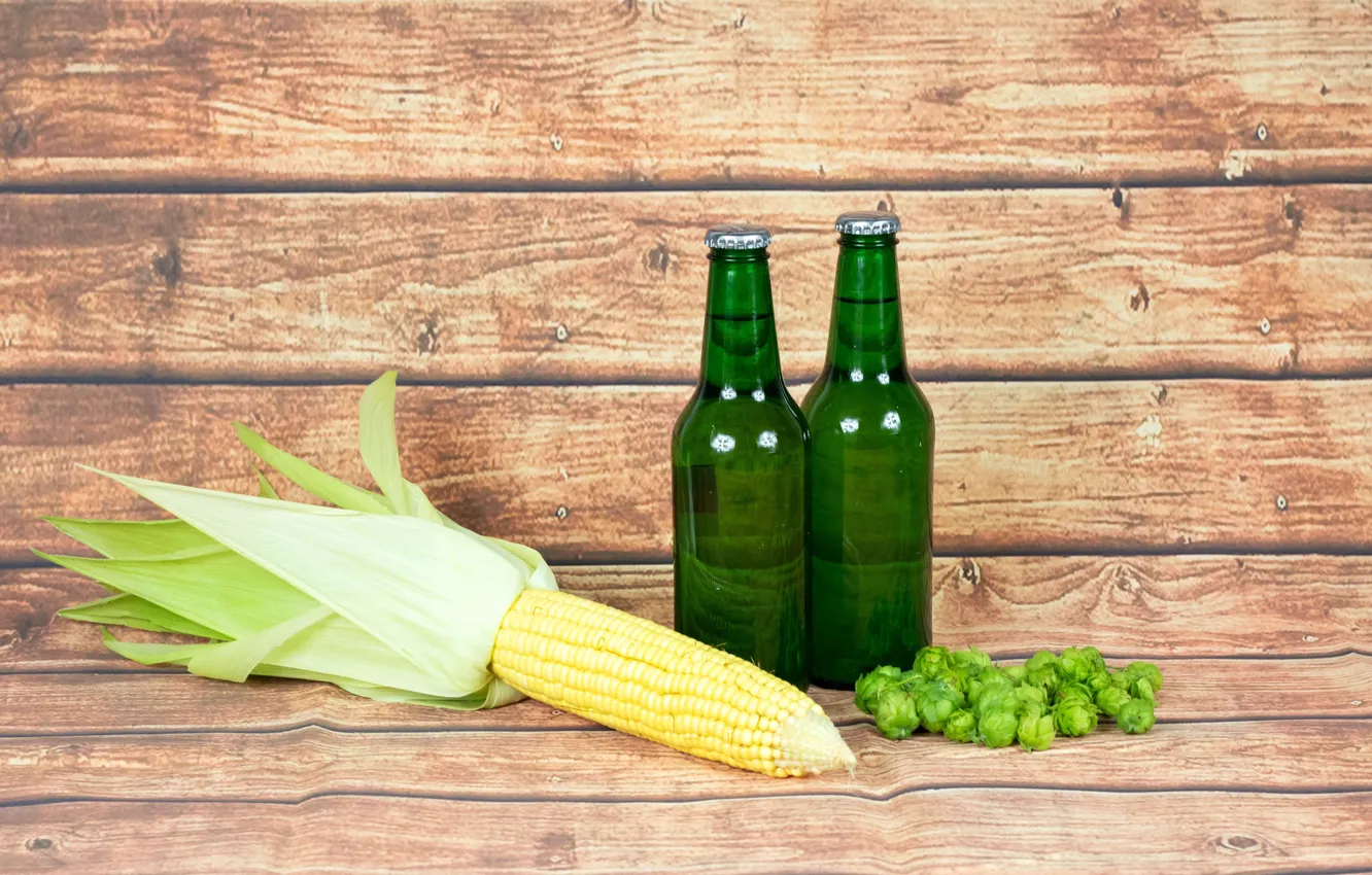 Photo wallpaper bottle, beer, corn, hops