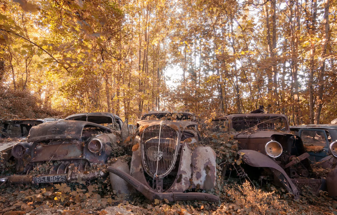 Photo wallpaper machine, scrap, naturalism