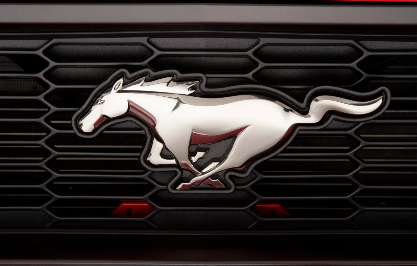Photo wallpaper Mustang, logo, Mustang