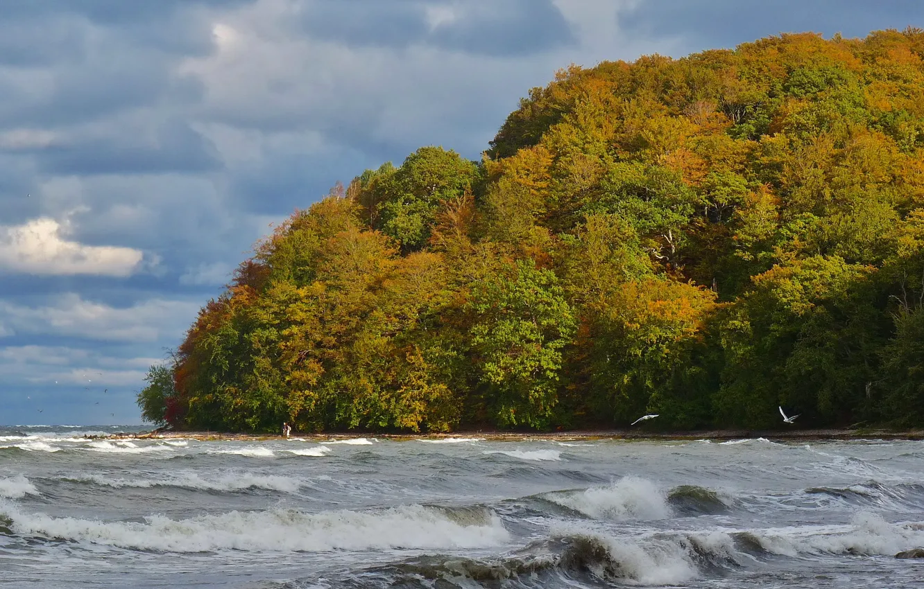 Photo wallpaper sea, wave, autumn, the sky, trees, clouds, storm, nature