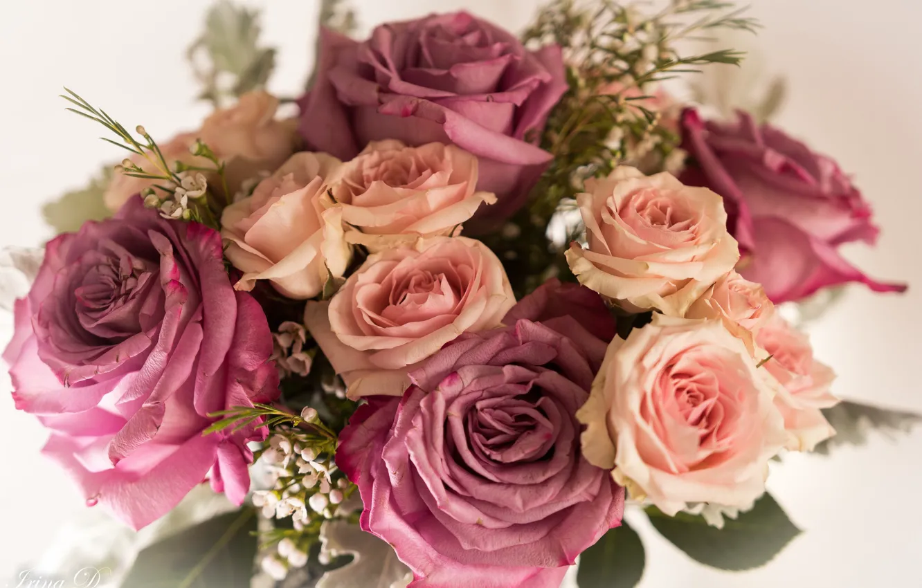Photo wallpaper roses, bouquet, composition