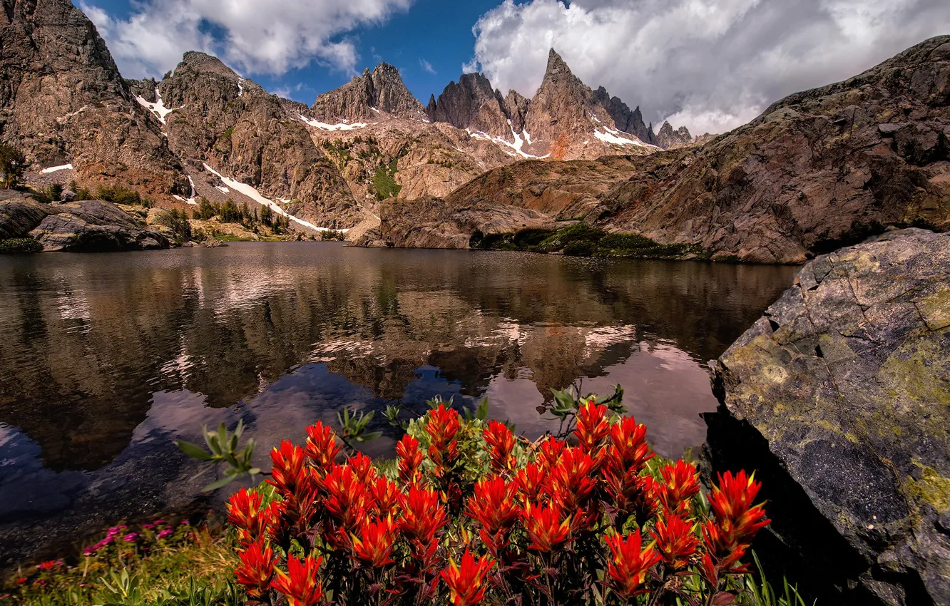 Photo wallpaper summer, flowers, mountains, lake, CA, USA, state, Sierra Nevada