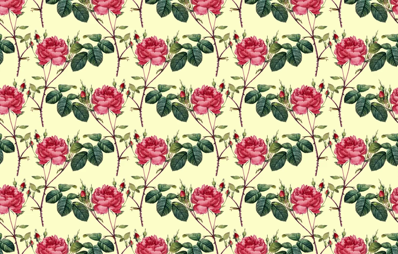 Photo wallpaper background, Wallpaper, roses, texture, buds