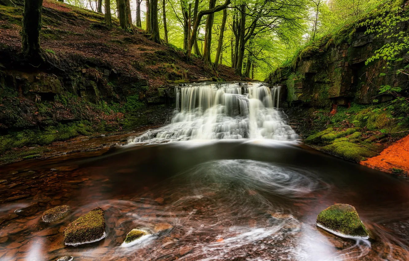Photo wallpaper forest, shore, waterfall, pond