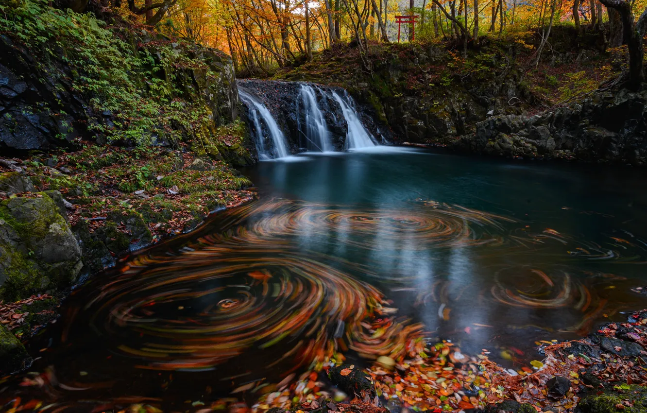 Photo wallpaper autumn, forest, shore, waterfall, pond