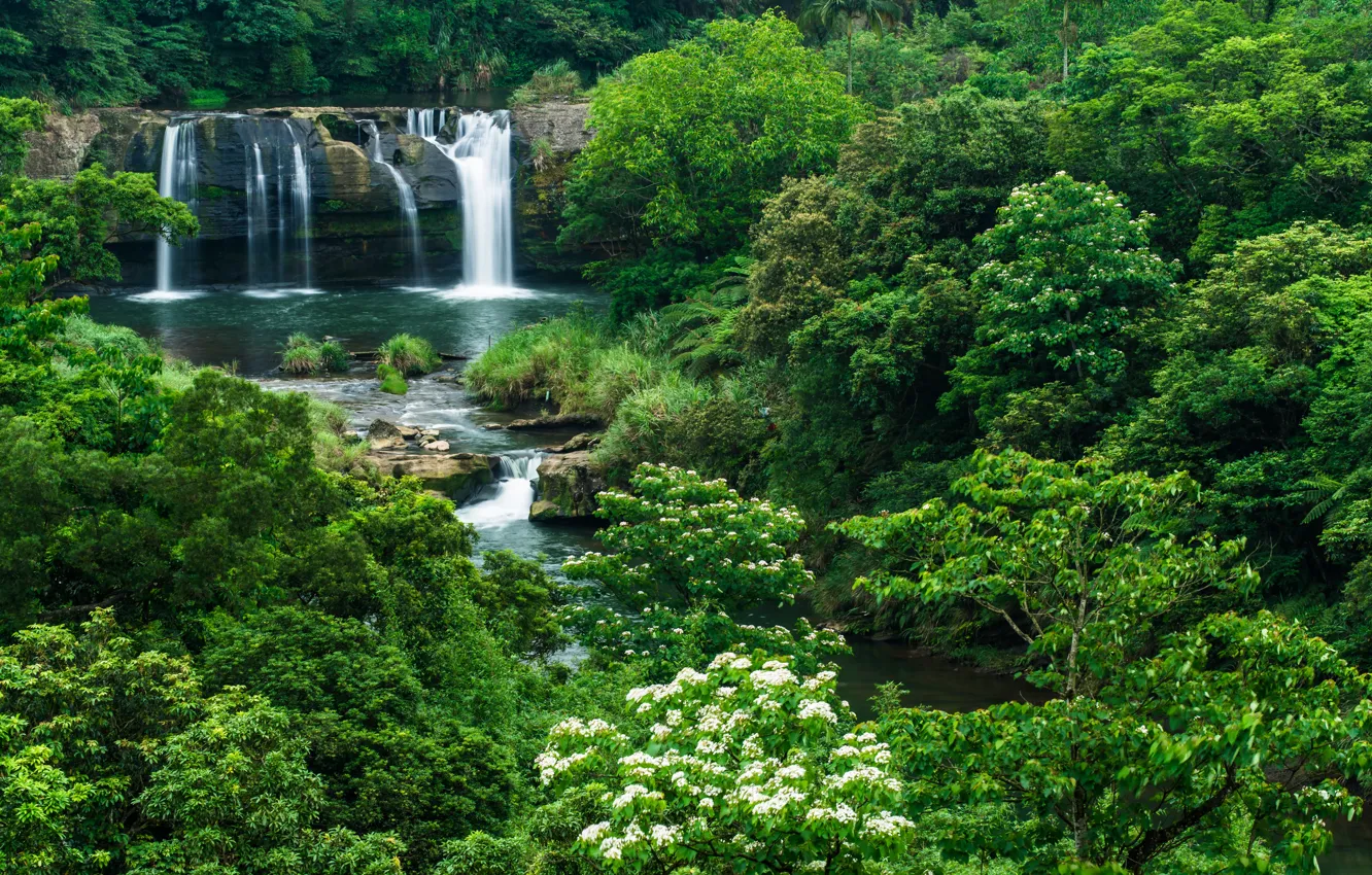 Photo wallpaper greens, trees, thickets, waterfall, spring, flowering, the bushes