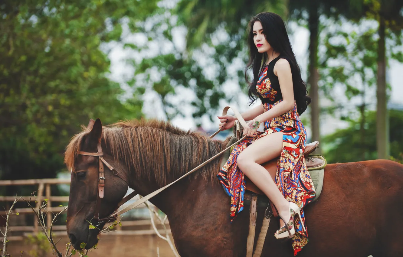 Photo wallpaper look, girl, horse, Asian