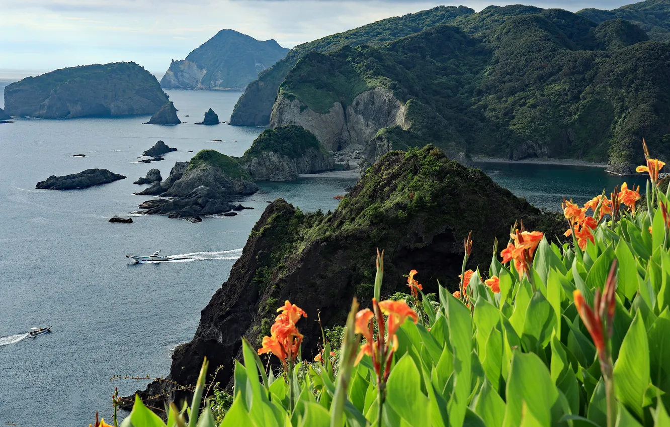 Photo wallpaper sea, flowers, mountains, rocks, shore, view